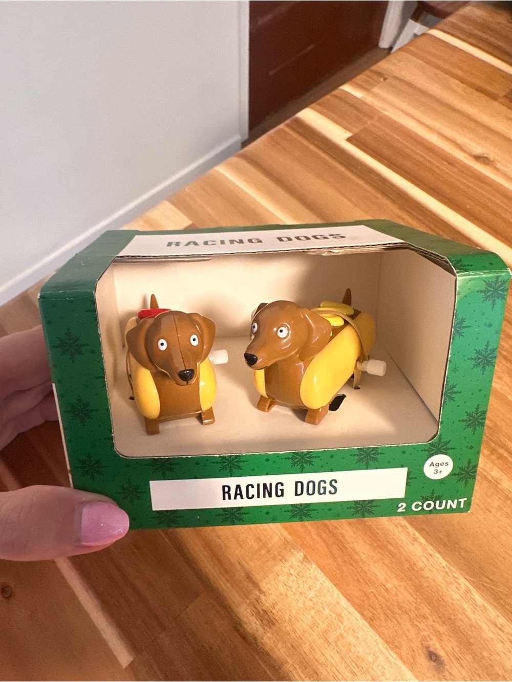 Dachshund racing dogs